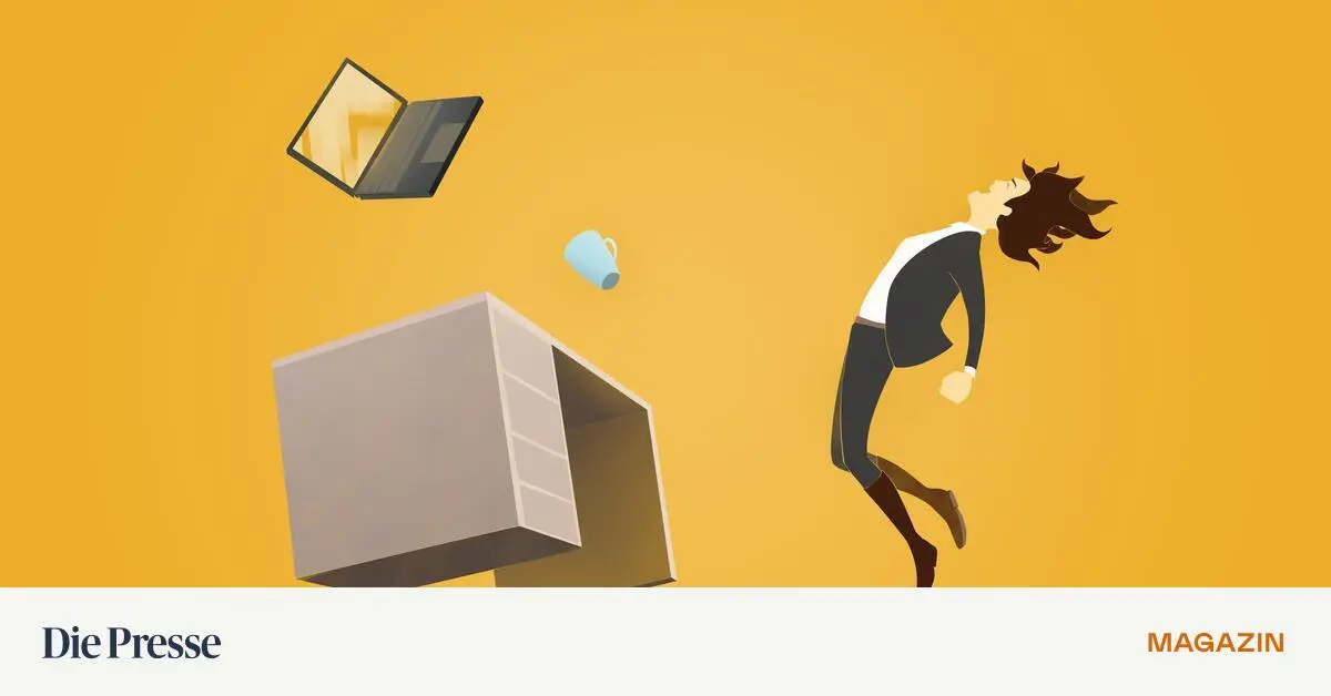 Chaos-Das-ist-normal-Gew-hnen-wir-uns-daran-premium-