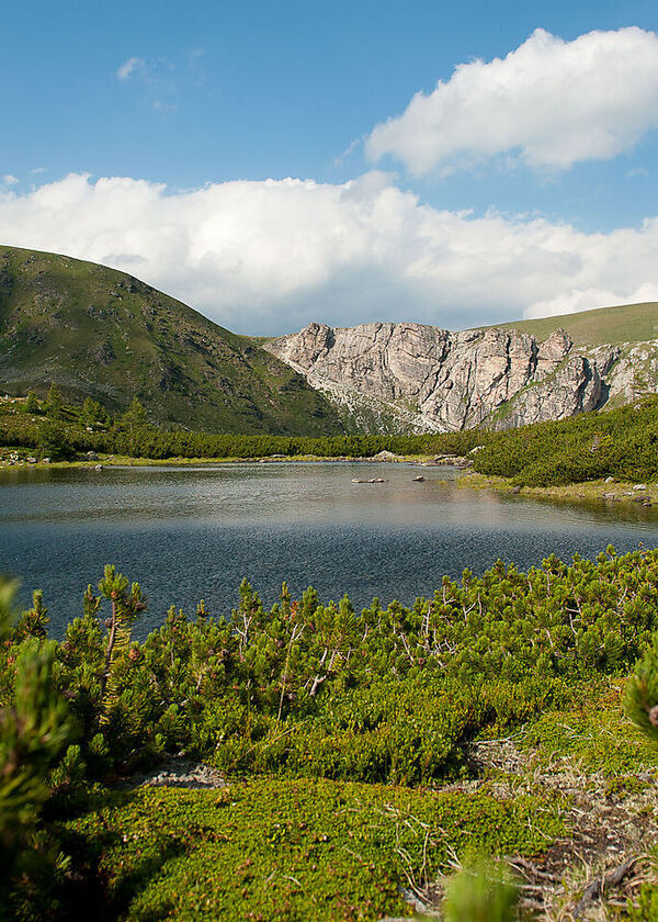 Biosphäre Nockberge: eine Ansammlung schöner runder Gipfel, Lärchenwälder, Almmatten. Mit der Nockalmstraße kommt man zu den schönsten Stellen. 