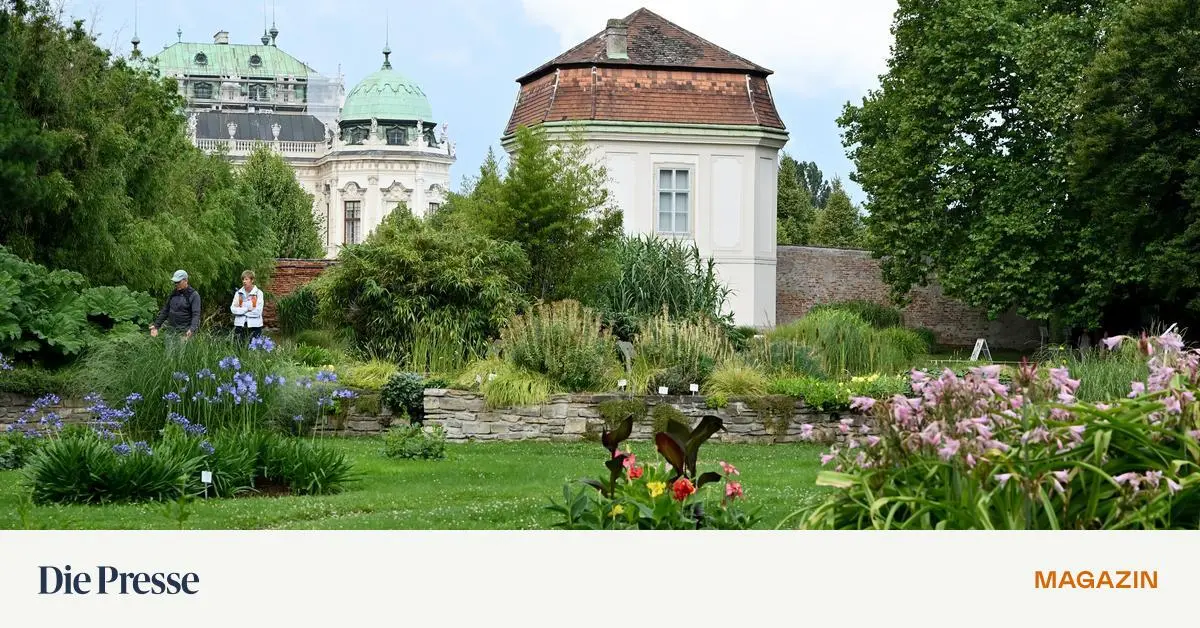 Von-Lotusblumen-und-Mammutb-umen