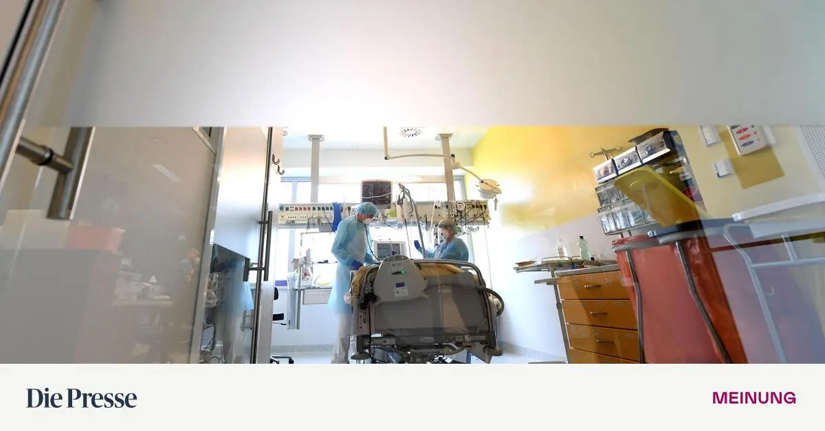 Streit-um-Gastpatienten-Wien-verliert-das-Augenma-premium-