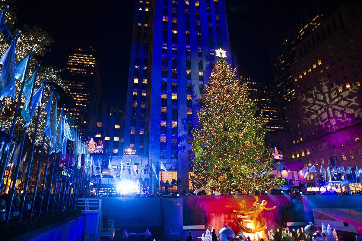 Traditionalisten schwören zu Weihnachten auf einen Nadelbaum. Der wohl berühmteste wird jedes Jahr vor dem Rockefeller Center in New York aufgestellt.Für all jene, die nach den Feiertagen die Reste des Christbaums nicht entsorgen wollen, stellen wir langlebige Baum-Alternativen vor: