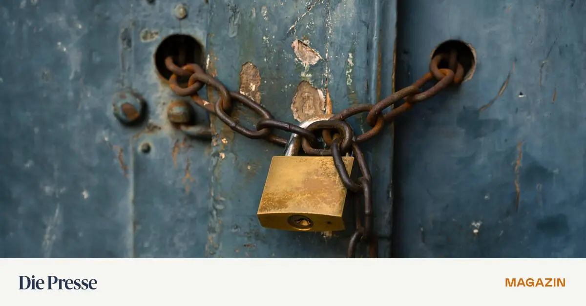 Streng-geheim-Ausl-ndische-Hardware-als-Einfallstor-f-r-Spionage-premium-