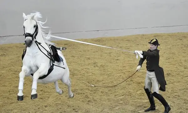 Erst ab 1918  spielten die Lipizzaner eine Rolle für die österreichische und für die slowenische Identität.