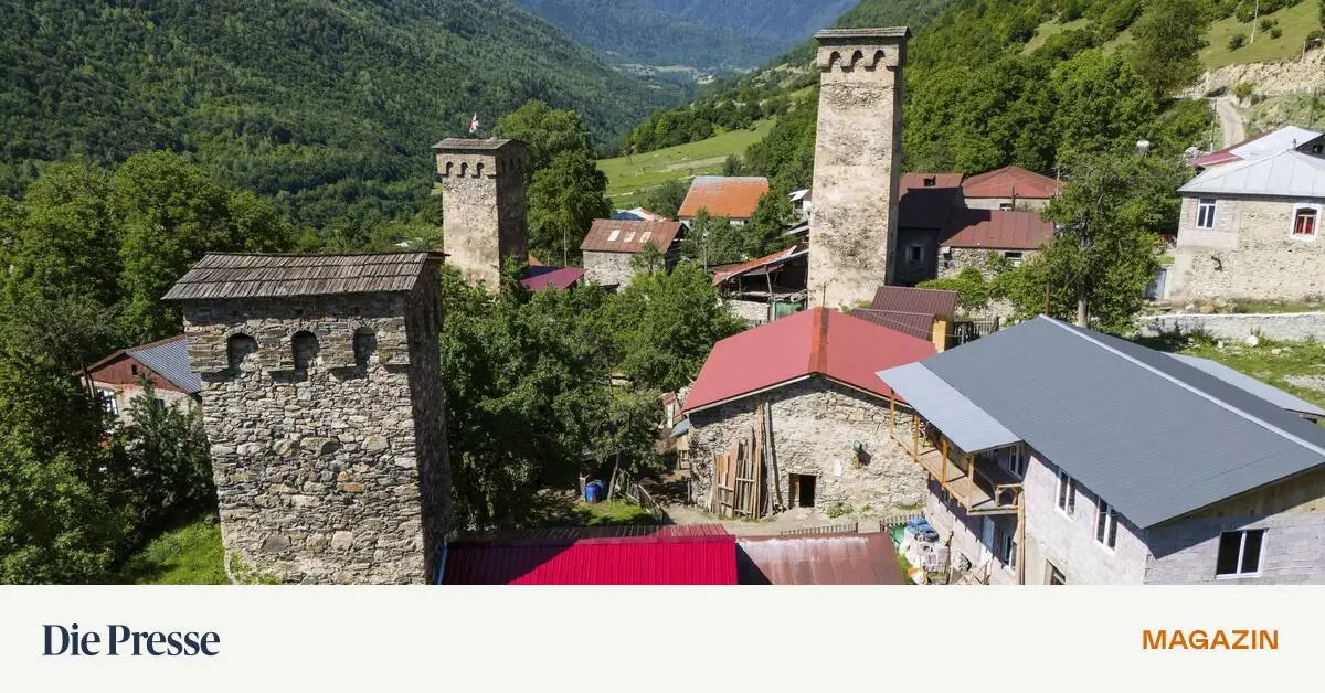 Wo-k-nnte-man-besser-ber-M-nnlichkeit-reflektieren-als-unter-georgischen-Swanen-premium-