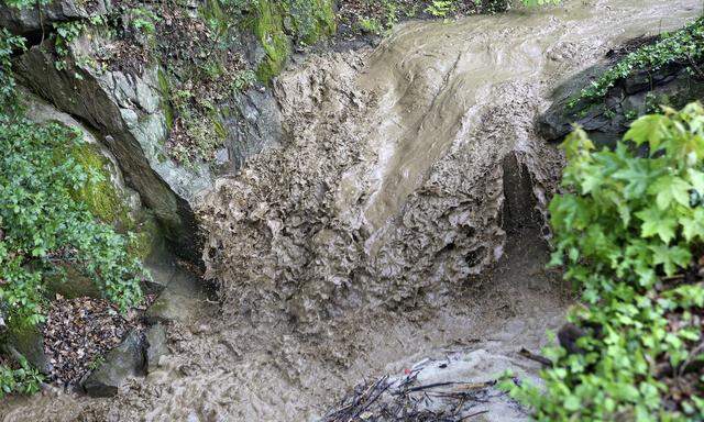 Heimische Forscher fanden heraus, dass Häuslbauer nach Wildbach-Schäden ihre Gebäude nicht besser gegen zukünftige Ereignisse schützen.