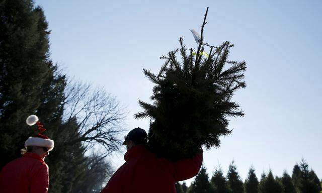 Für mehr als die Hälfte der Österreicher gehört ein Christbaum zu Weihnachten dazu. 