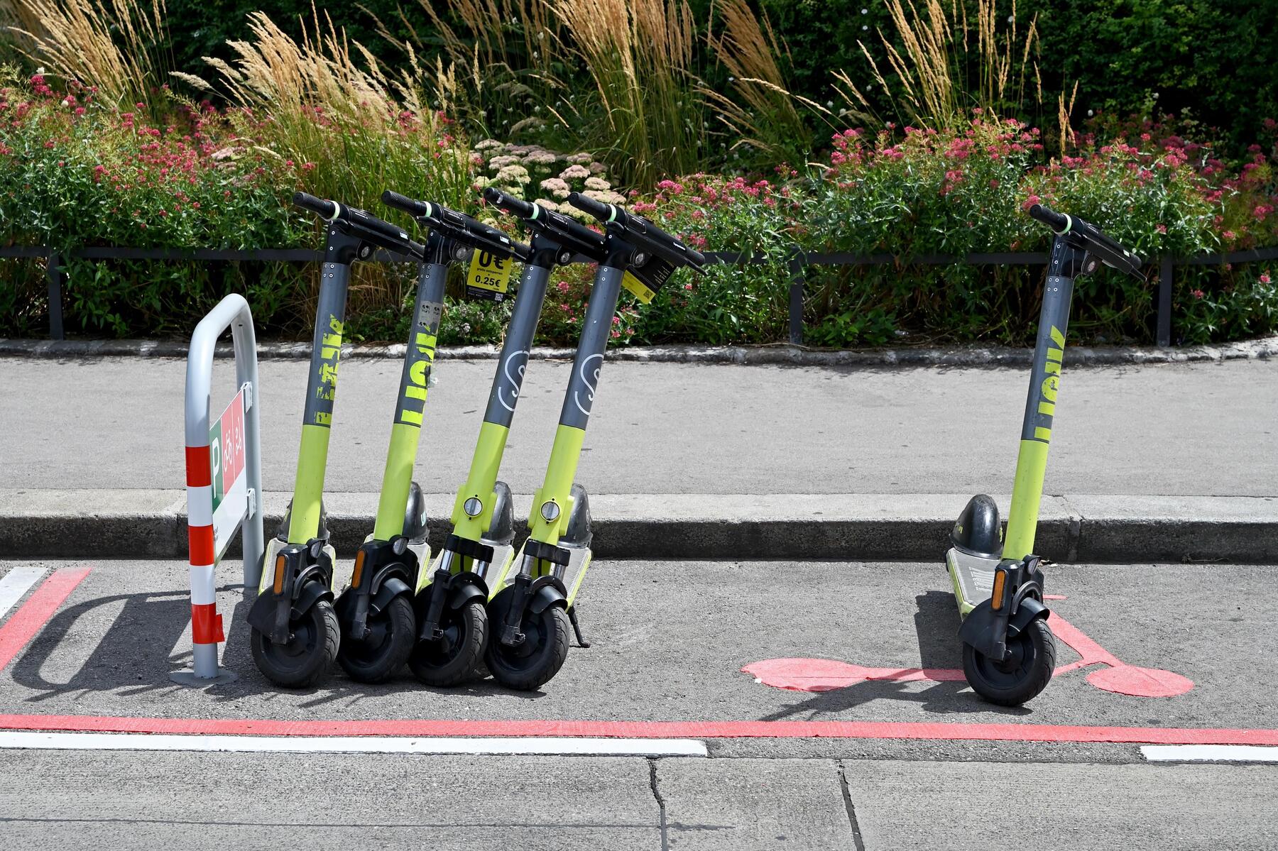 E-Scooter Study Reveals High Injury Risk for Children