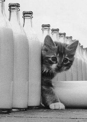 Milchglasflaschen (wie hier auf einem Archivbild aus 1964) können ab März in Automaten zurückgegeben werden. 