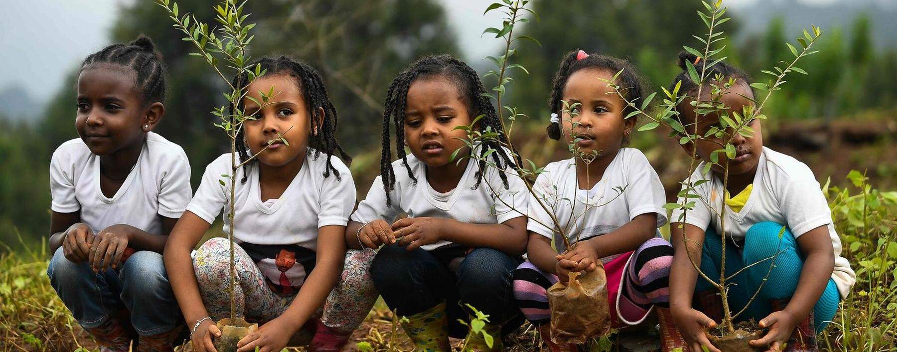 Mädchen in Äthiopien nehmen an der landesweiten Aufforstungsinitiative teil. In diesem Jahr soll jeder der rund 105 Millionen Einwohner 40 Bäume pflanzen.