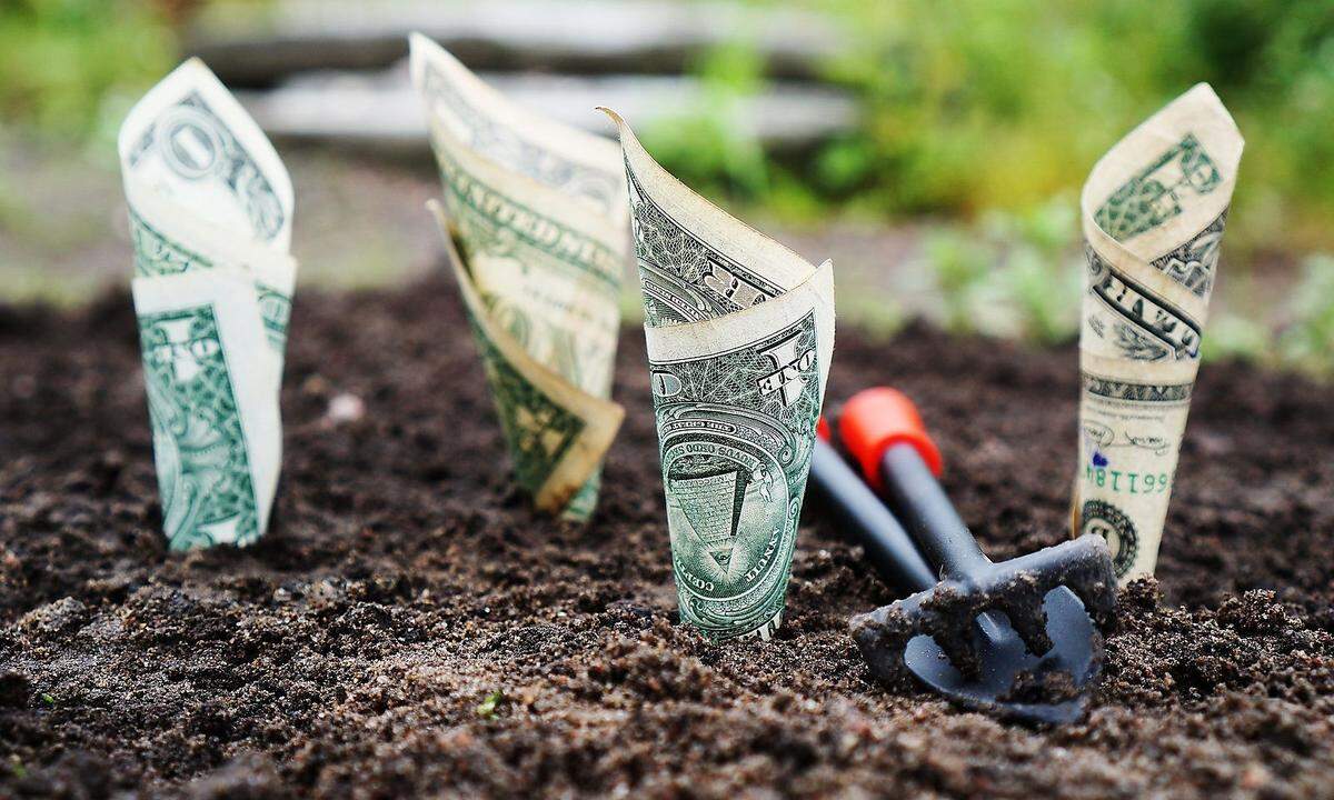 Seed Capitalist: unterstützt risikoreiche Start-ups bis zur Finanzierung des ersten Prototyps.