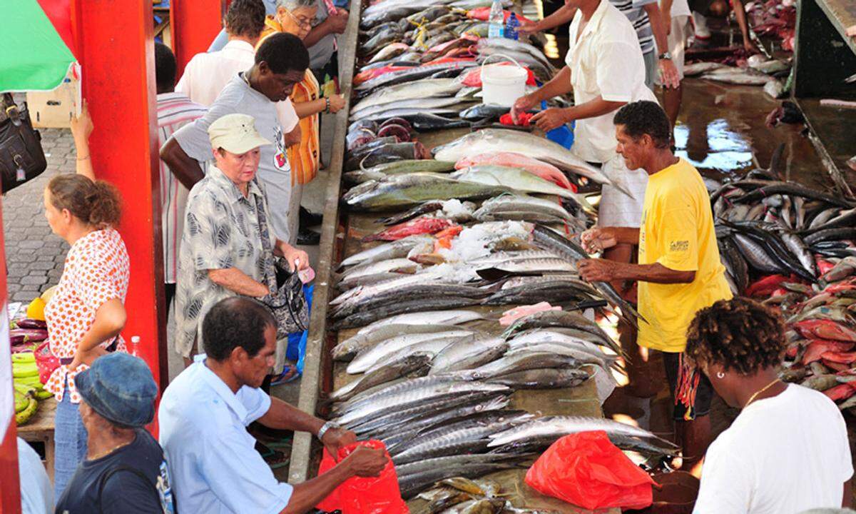 Das Land war 1993 eines der ersten, das den Umweltschutz in die Verfassung aufnahm. Offenbar mit Erfolg: Internationale Fangflotten kreuzen nach Auskunft von Einheimischen nicht zwischen Mahé und dem Inselaußenposten Aldabra, Heimat der gleichnamigen Riesenschildkröte, die auf den Hauptinseln nur in Gehegen bestaunt werden kann.