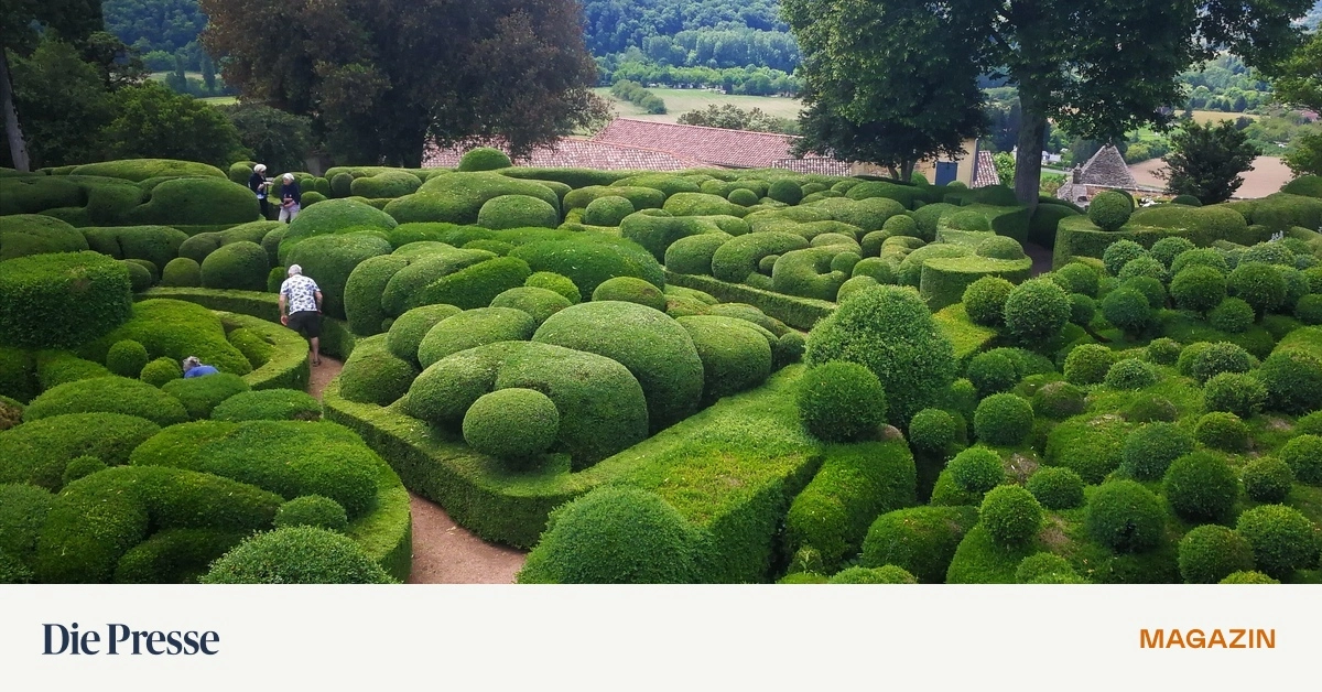 In-den-G-rten-des-P-rigord-w-chst-nicht-nur-der-Buchsbaum-premium-