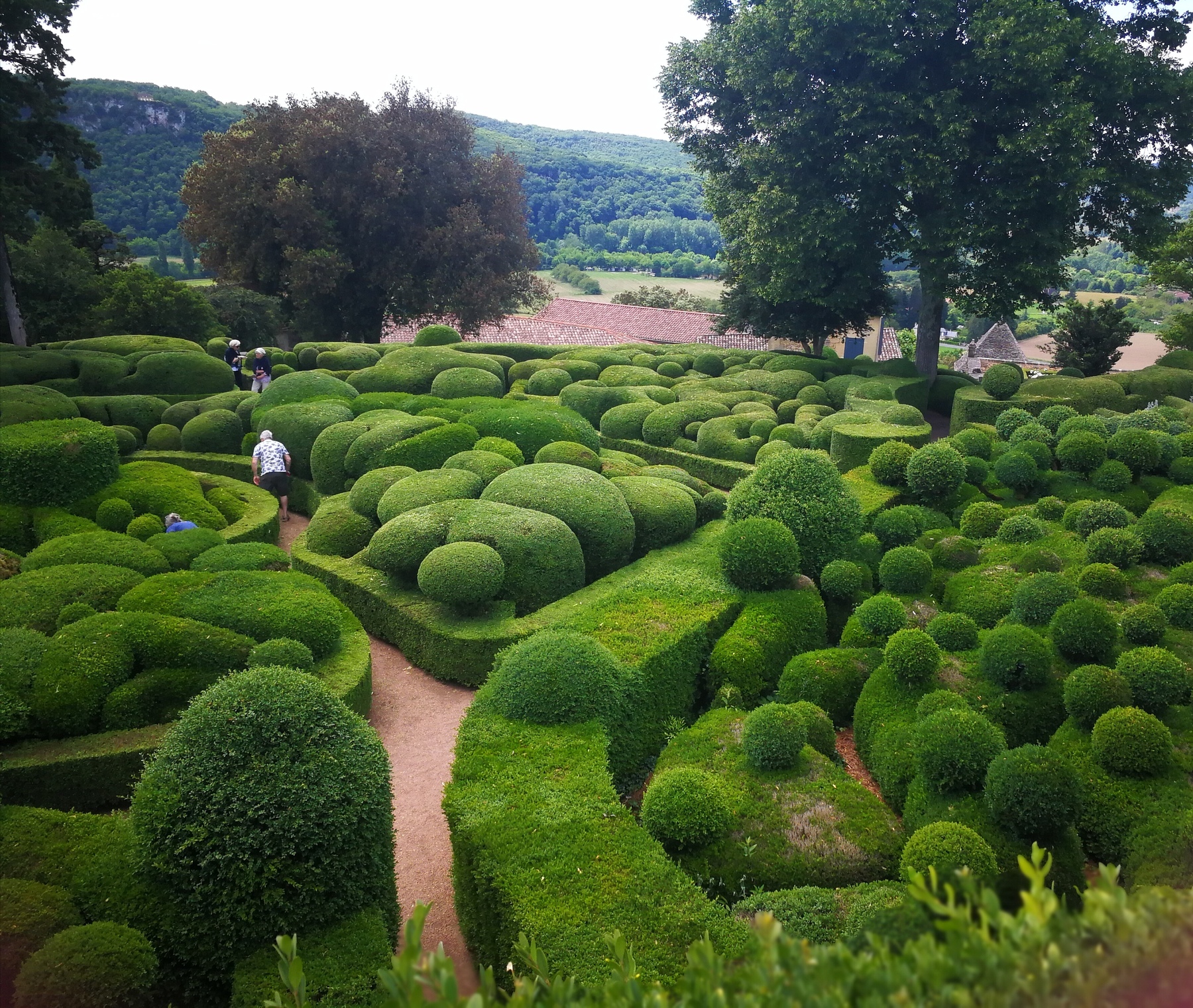 In den Gärten des Périgord wächst nicht nur der Buchsbaum [premium]