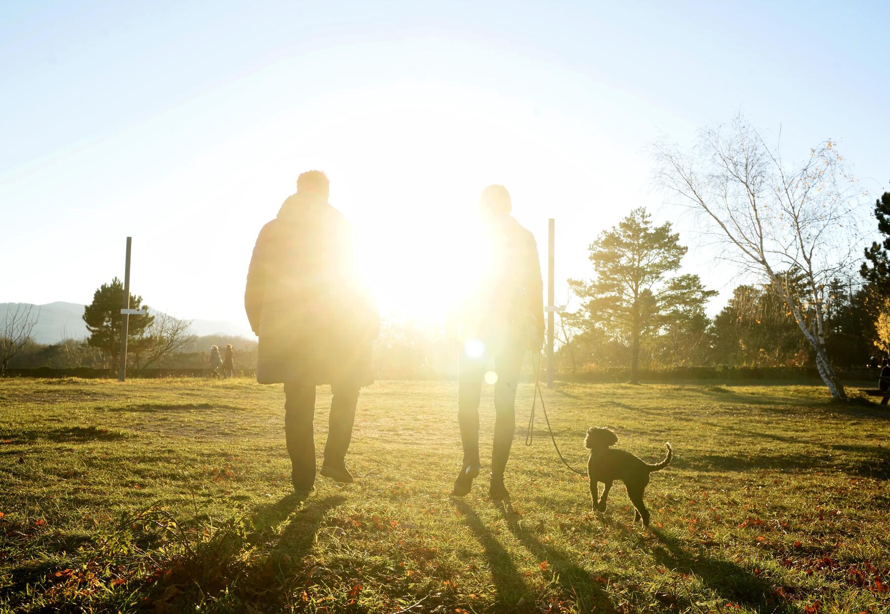 Schritte zählen bis zum Erdkern  [premium]