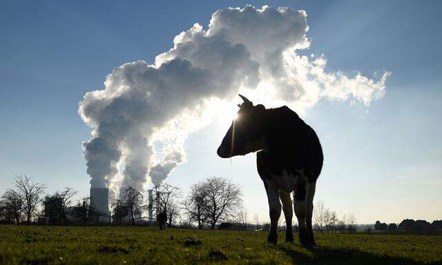 Aus jeder Verbrennung und aus Gärprozessen geht CO2 hervor. Das kann man nachhaltig umsetzen. 