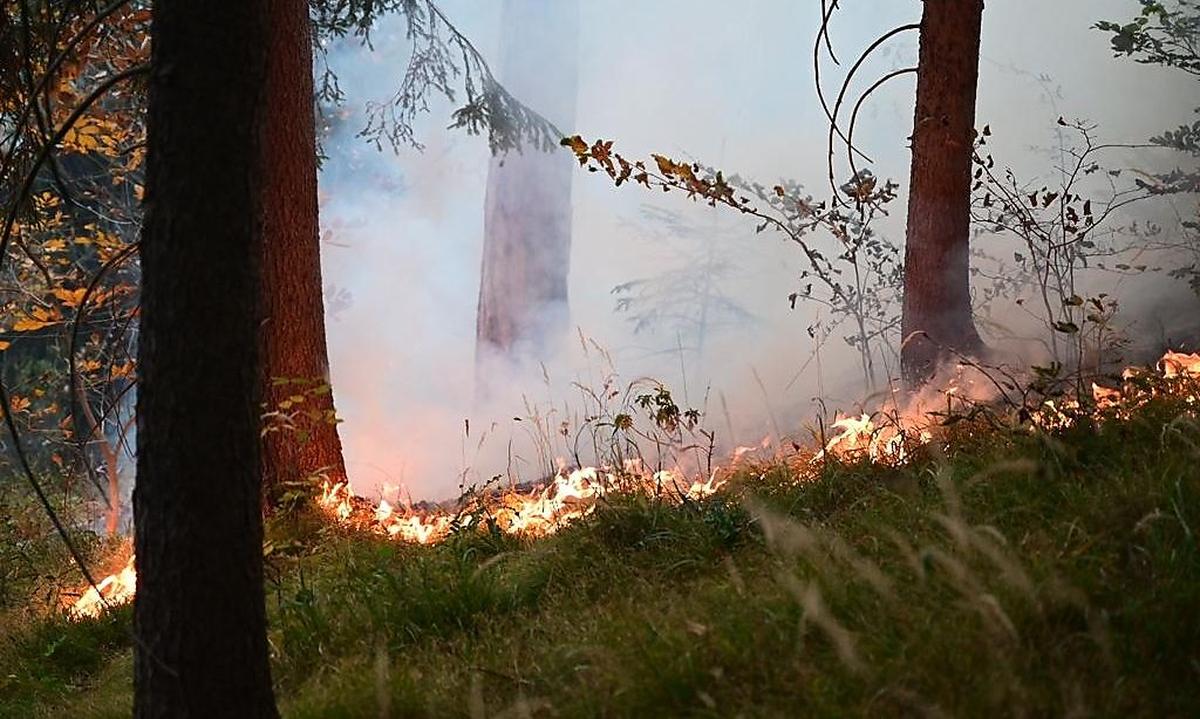 Das brennende Waldgebiet in Niederösterreich.