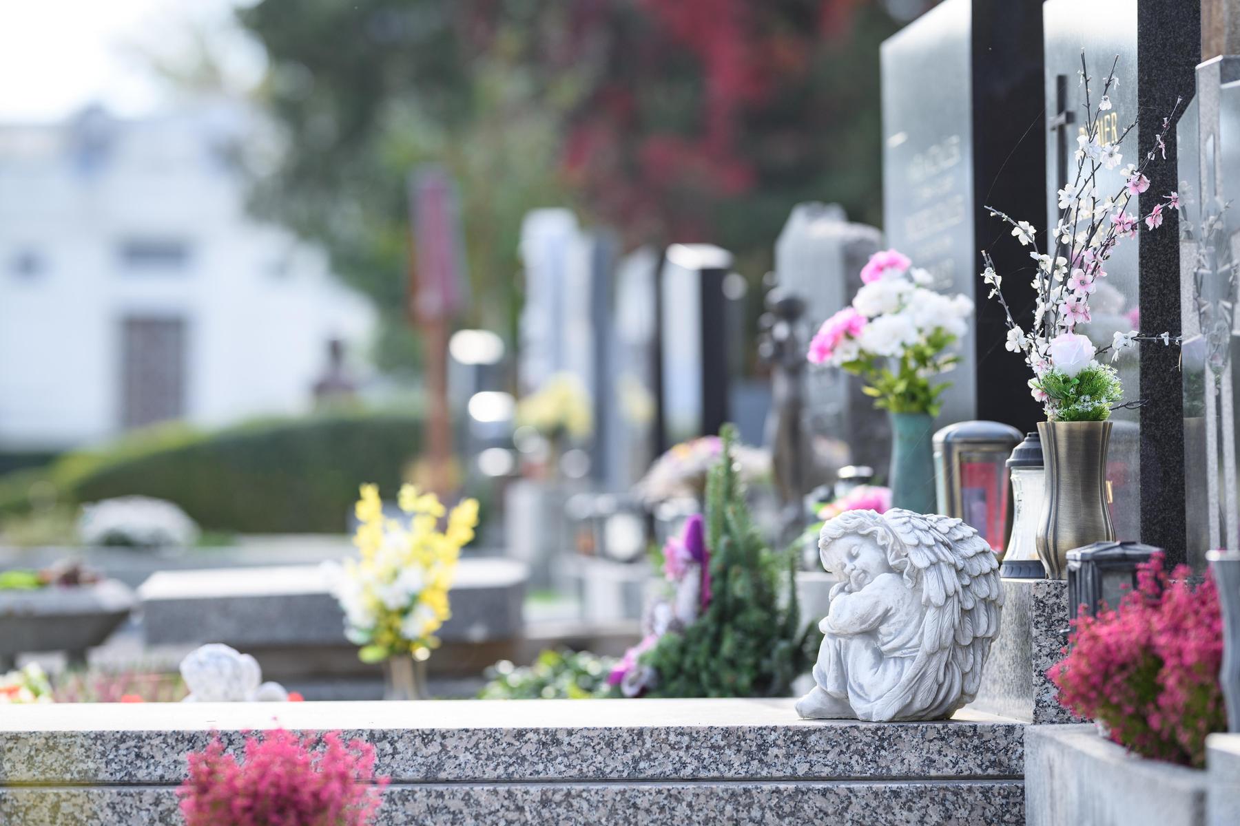 Gedenken an 800 ermordete Kinder: Sterbliche Überreste von Spiegelgrund-Opfern beigesetzt