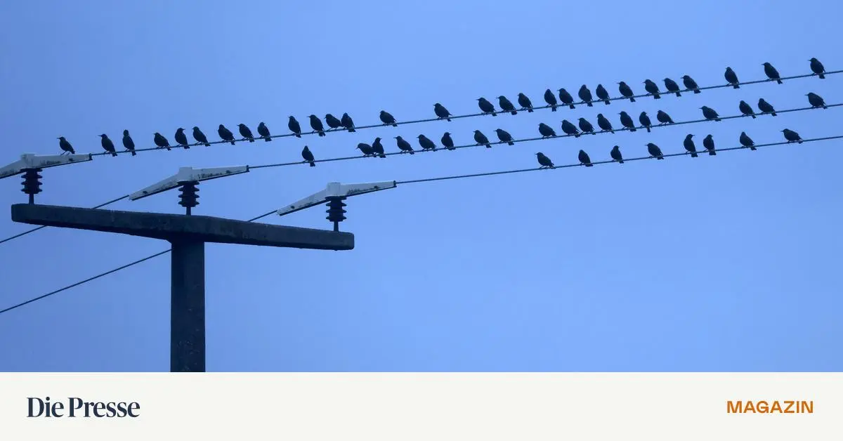 Das-Klima-Wetterkapriolen-und-sterreichs-Sicherheitspolitik