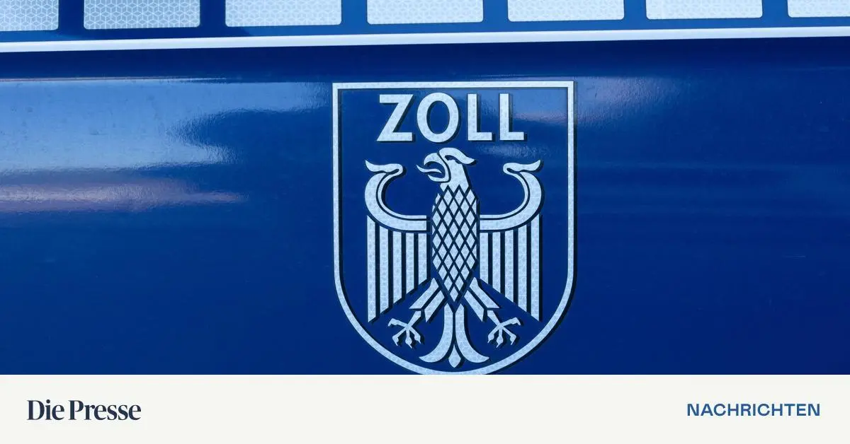 Deutscher-Zoll-fand-1500-Vogelspinnen-in-angeblicher-Keks-Lieferung