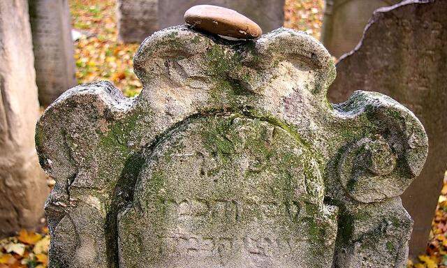 Jüdischer Friedhof Seegasse: Vergessene Grabsteine entdeckt