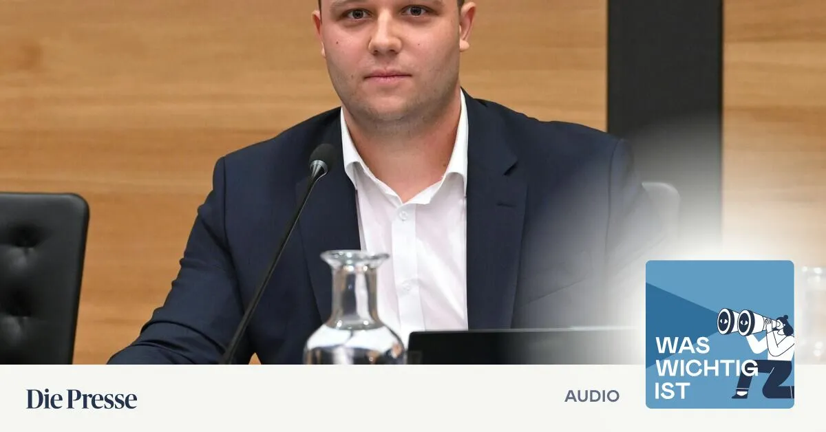www.diepresse.com