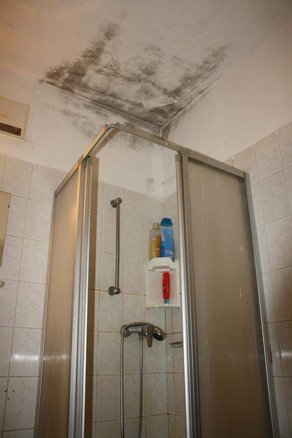 Schimmel im Badezimmer in einer Unterkunft in Aschau (Burgenland)