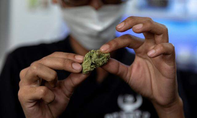 FILE PHOTO: Thailand legalises the growing, and consumption of marijuana