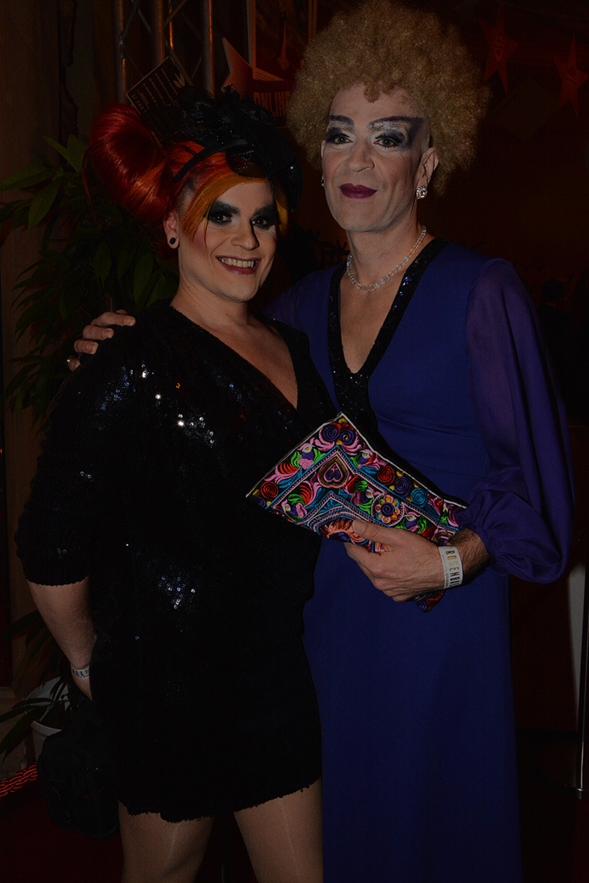 Weitere Bilder vom Rosenball 2014.