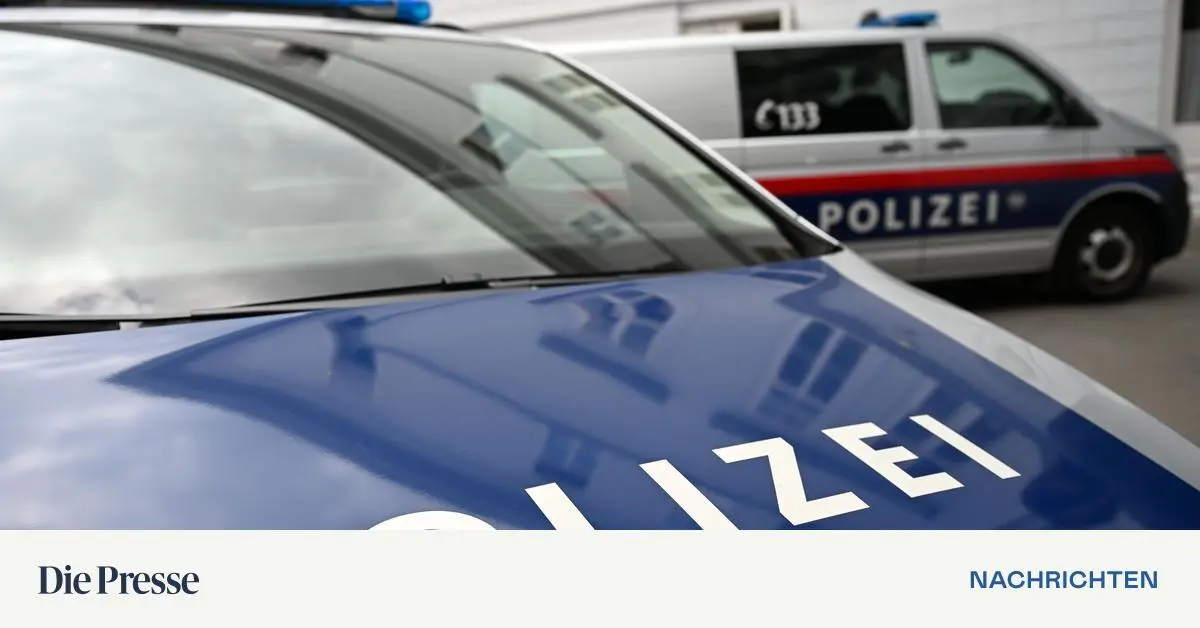 13-J-hrige-attackiert-Freund-mit-K-chenmesser