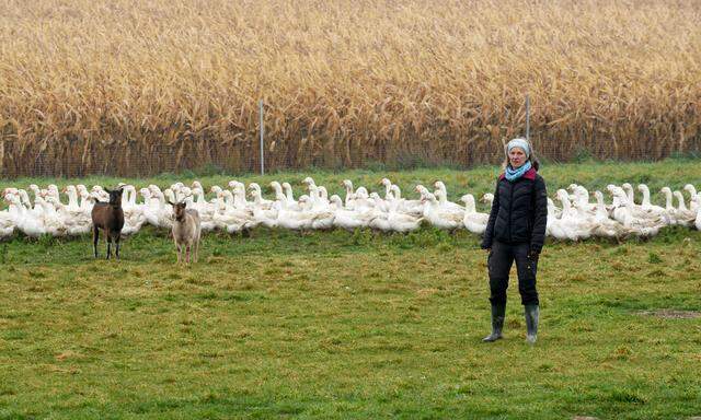 Sonja Lehner hält unter anderem 500 Gänse. Die Ziegen namens Semmel und Kornspitz leben mit ihnen. Neben Weidegänsen verkauft sie auch selbst gemachte Nudeln und Eingekochtes.