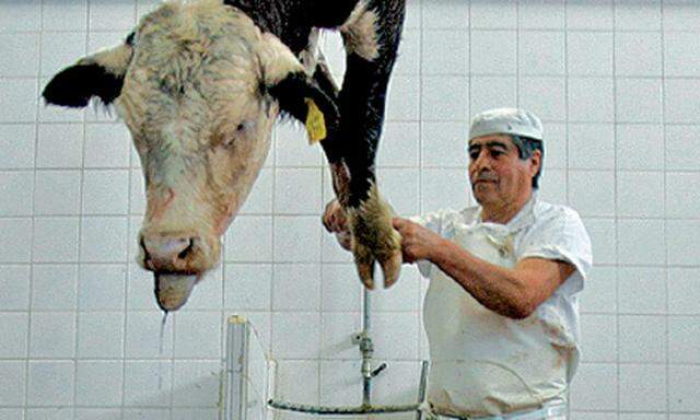 Argentinien Rinderkrise Land Steaks