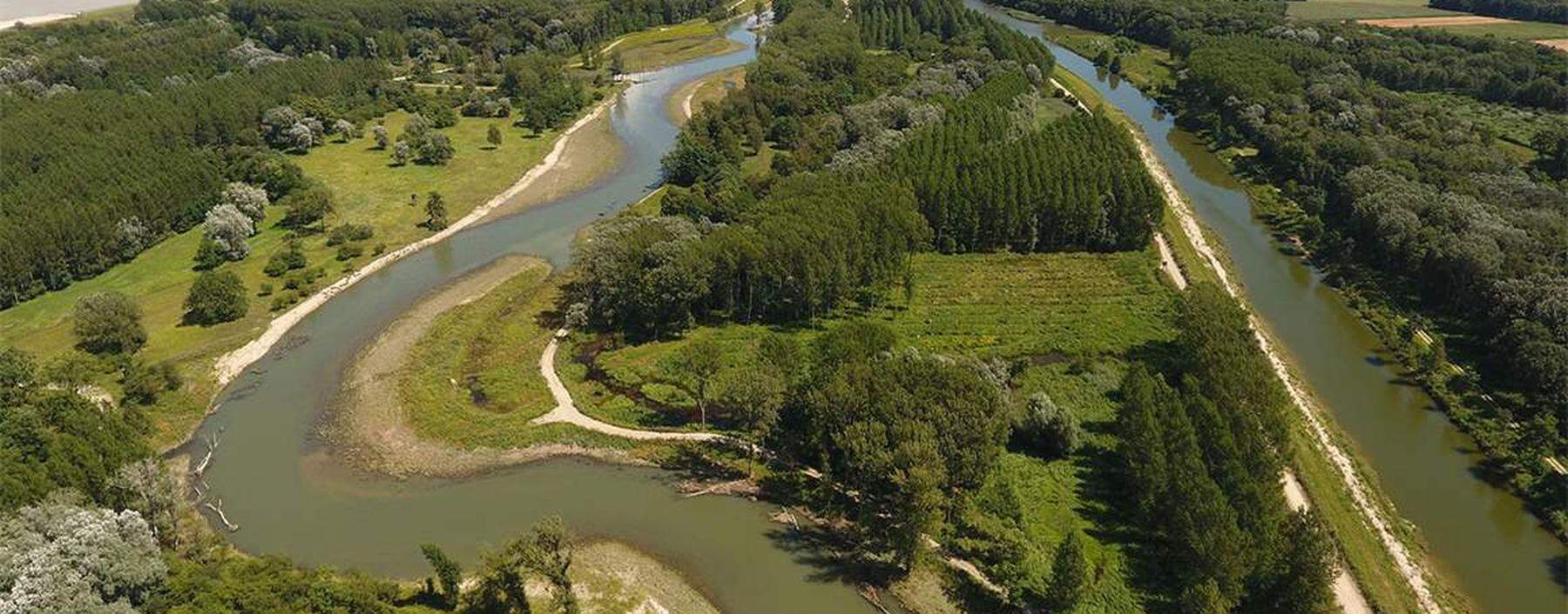Ein Musterbeispiel für die Neugestaltung einer Flusslandschaft: LIFE+ Traisen, Österreichs größtes Renaturierungs-Projekt.
