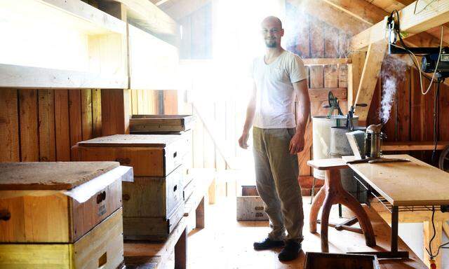 Imker David Priller im Bienenhaus. Aus der Wabe, die er herausgeholt hat, wird er demnächst den Bienenkaviar ernten. Das sind noch nicht ganz fertig entwickelte Drohnen.