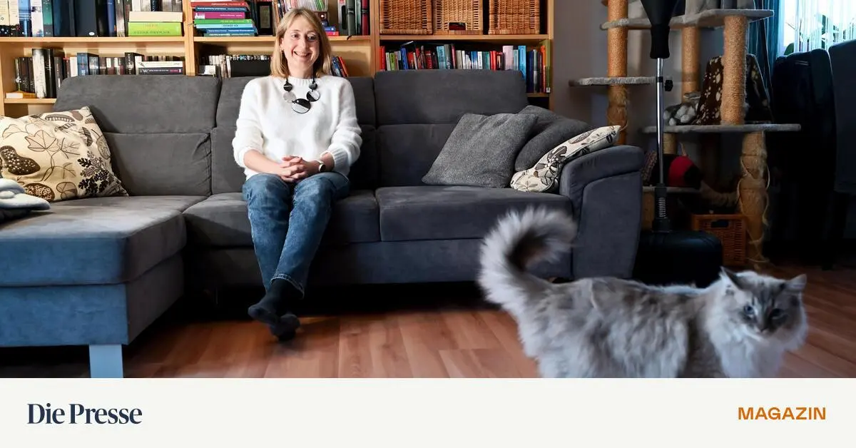 Sie-st-rmt-er-verteidigt-sich-ber-Konfliktmuster-in-Beziehungen-premium-