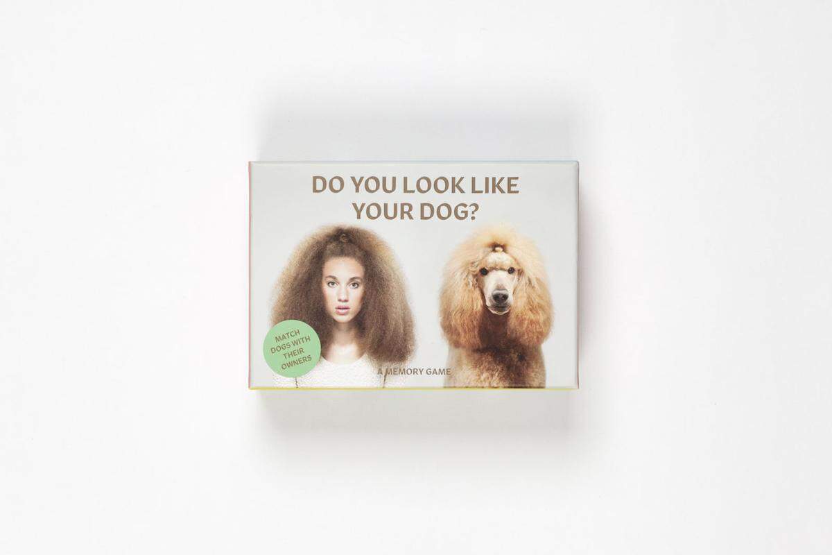 Do You Look Like Your Dog: A Memory Game by Gerrard Gethings.