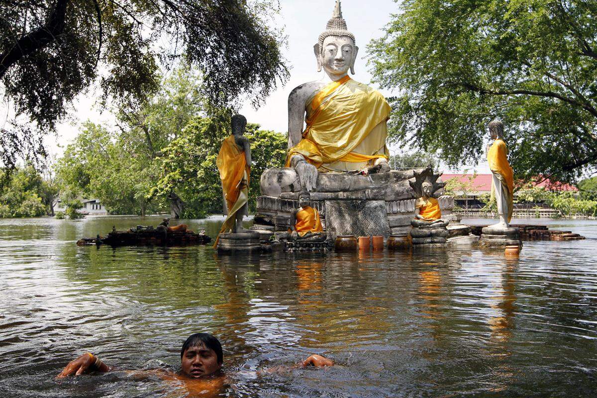 Premierministerin Yingluck Shinawatra gab zu, dass die Hauptstadt Bangkok auf die drohenden Überschwemmungen schlecht vorbereitet se.Ein Anwohner schwimmt im Weltkulturerbe von Ayutthaya vor einem untergegangenen Tempel.