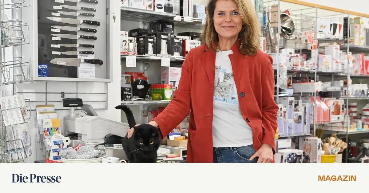 von-geschirrkater-ramses-bis-kirchenkater-schubert-wien-und-seine-besonderen-katzen-premium