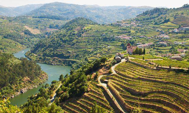 Im Tal entlang des Douro klettern atemberaubende Weinterrassen zu beiden Seiten die Hänge hinauf. Dazwischen liegen vereinzelt die weiß getünchten Weingüter und pittoresken Städtchen.