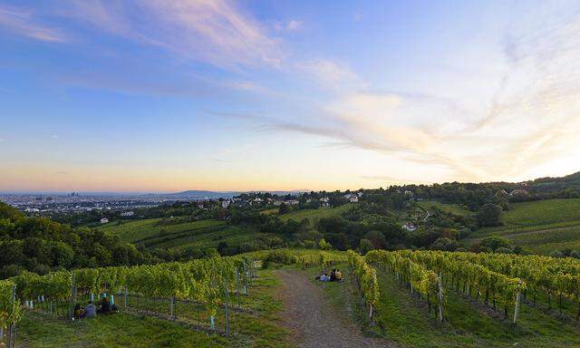 Blick auf Wien, von den Weingärten bei Grinzing