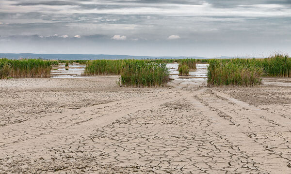 Niedriger Wasserstand im Neusiedlersee