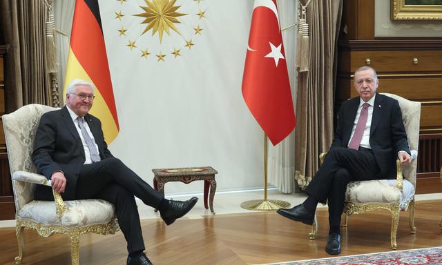 Steinmeier und Erdoğan sprachen heikle Themen nur am Rande an. 