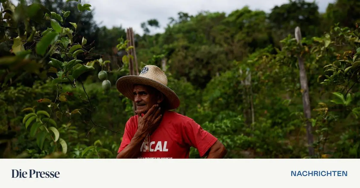Mercosur-schlie-t-Pakt-mit-Europas-zweitem-B-ndnis