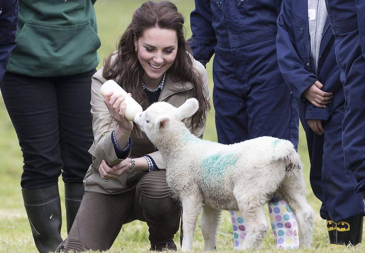 Eine Hühnerschar lebt neben den Royals nämlich auf dem Anwesen. Kate erzählte, selbst die Eier einzusammeln - und auch, dass sich die Familie einen Inkubator zum Brüten der Eier zugelegt habe. Sie würden zwar noch nicht recht wissen, wie das Gerät funktioniere, die Kinder liefen aber jeden Morgen hinunter, um nachzusehen, ob sich schon etwas Lebendiges rege.