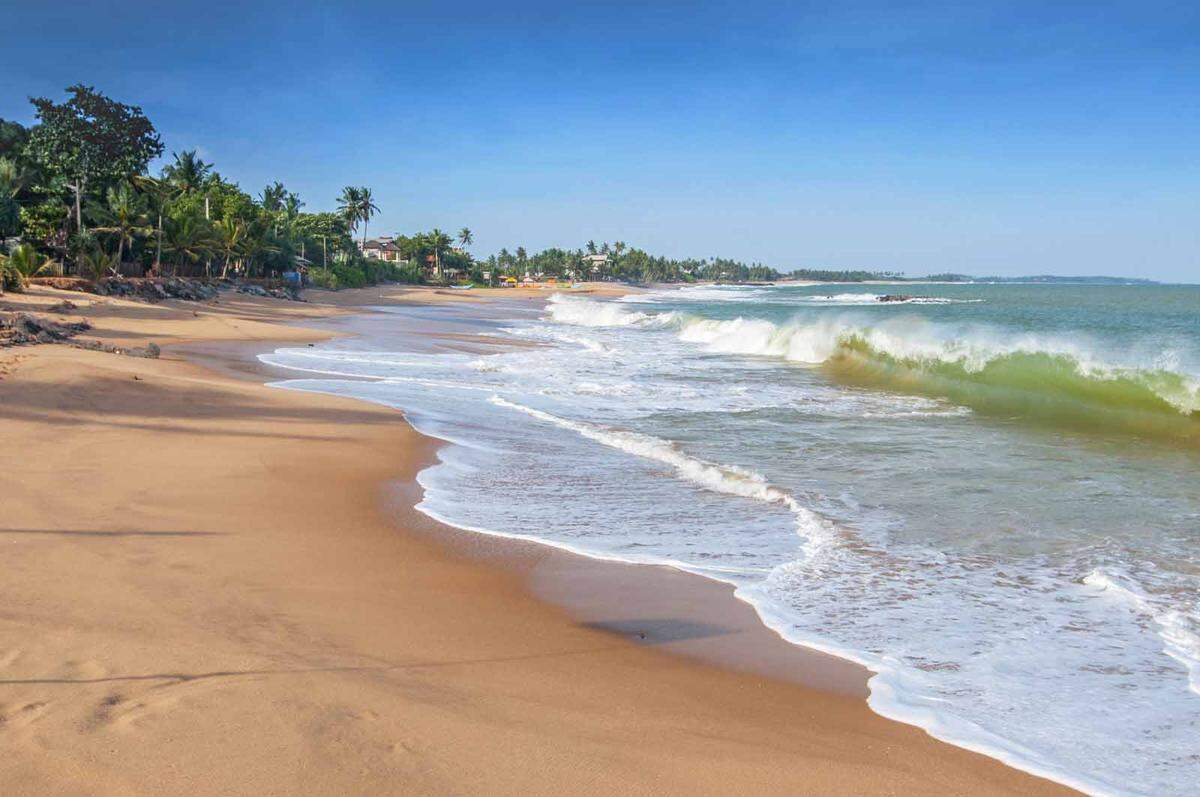 Sri Lanka kann mithalten. 30 Grad sind im Februar keine Seltenheit, das Meer ist mit 27 Grad angenehm warm und die Sonne scheint 9 Stunden lang. Einziger Wermutstropfen: 5 Regentage gibt es im Februar im Durchschnitt.