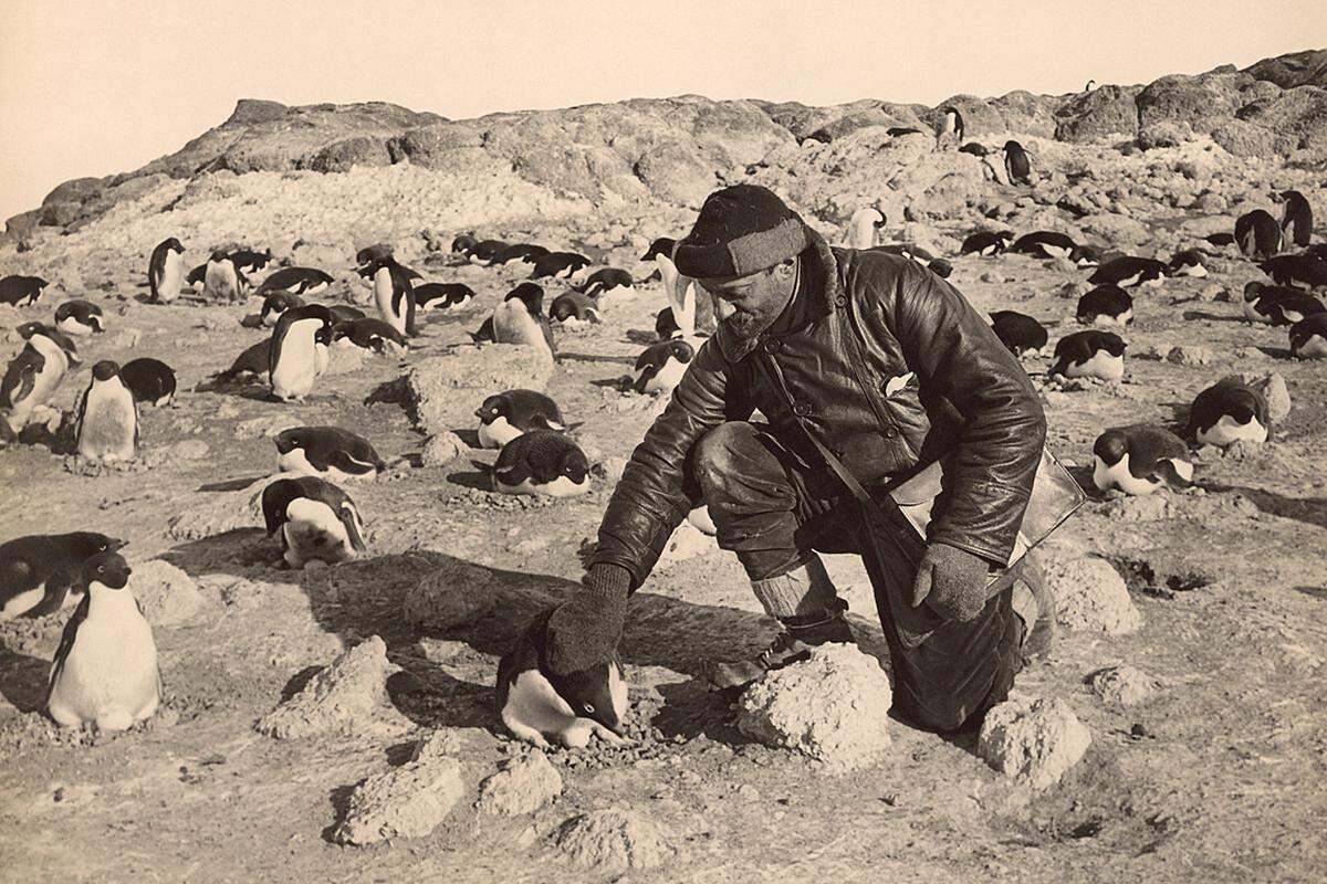 Der Fotograf Herbert Ponting begleitete Robert Scotts Südpolar-Mission von 1910 bis 1913 und dokumentierte die Landschaft der Antarktis ebenso wie das raue Leben an Bord des Expeditionsschiffs. Herbert Ponting: Teilnehmer der britischen Antarktis Expedition, 1911 (c) National Geographic Image Collection