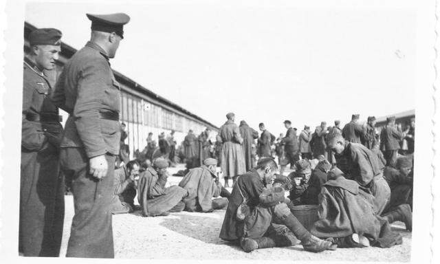 Sowjetische Kriegsgefangene in Krems-Gneixendorf – an unterster Stelle der Lagerhierarchie. 