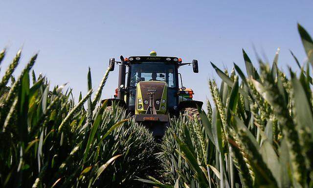 Bayer dürfte bald zum weltgrößten Anbieter für Saatgut aufsteigen
