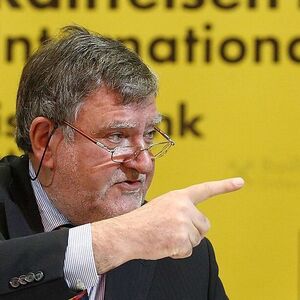 Raiffeisen International-Chef Herbert Stepic besitzt zwei Briefkastenfirmen, will jedoch steuerlich korrekt gehandelt haben.