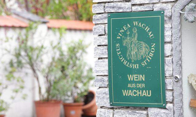 Die Vinea Wachau hat knapp 200 Mitglieder. Doch die Regeln der renommierten Winzervereinigung wurden vor 40 Jahren aufgestellt. Manche halten sie für veraltet. 