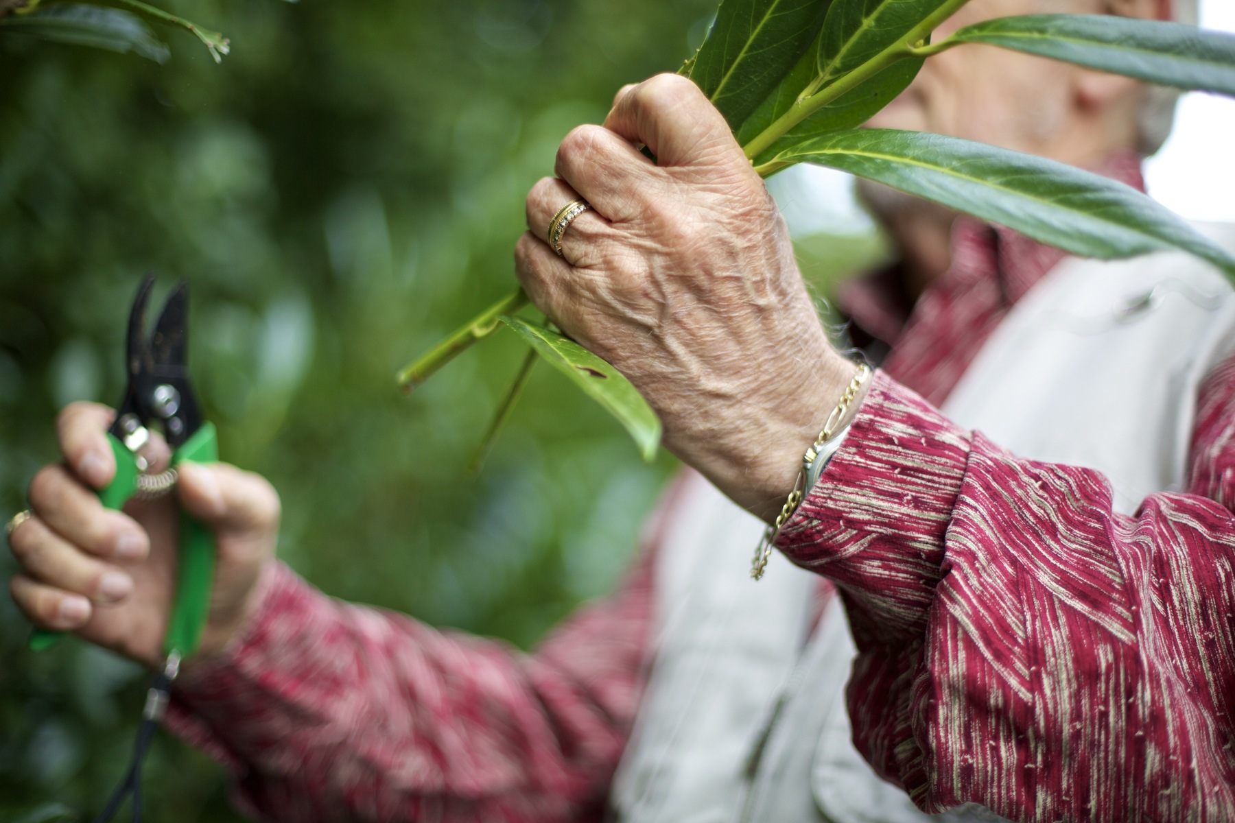Finanzminister verspricht: Pensionisten-Bonus kommt 2027 fix [premium]